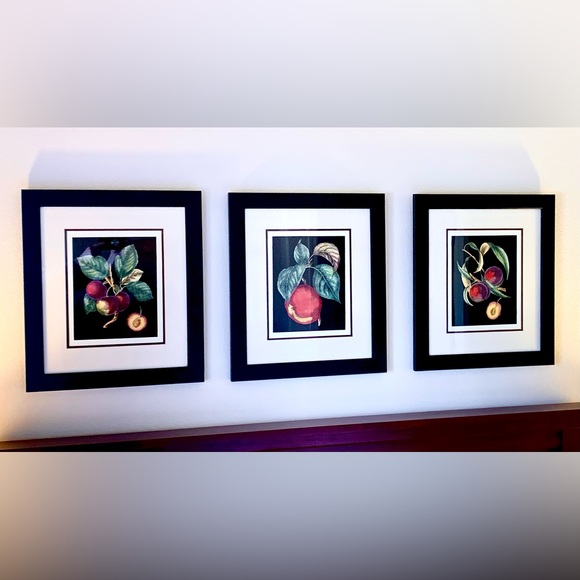 Fruit Theme Framed Art Prints , Set of Two. - Picture 8 of 11